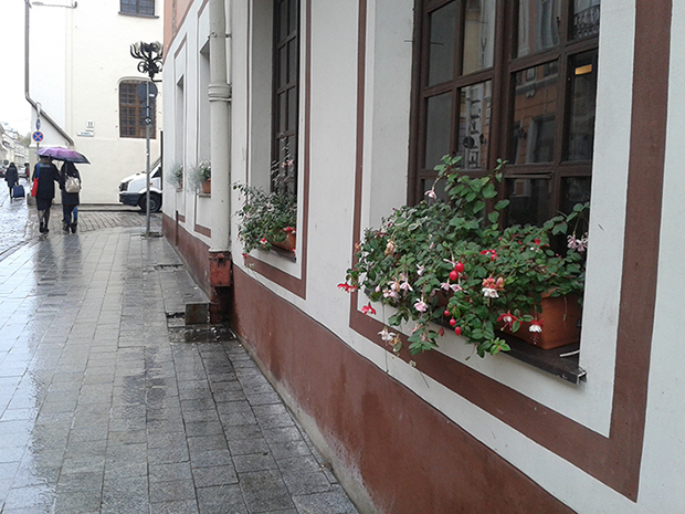 Dominikonai Caddesi: Tanrının Amanlı Tapınağı (Dievo Gailestingumo Šventovė) Kilisesi’ne komşu Cozy içkili restoranı