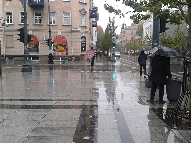 Vilnius’ta Gedimino Caddesi’nde çöp kutularını karıştıran kadın