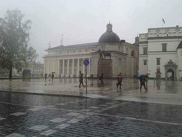 Vilnius Katedrali ve Gediminas + atı + kurt heykeli